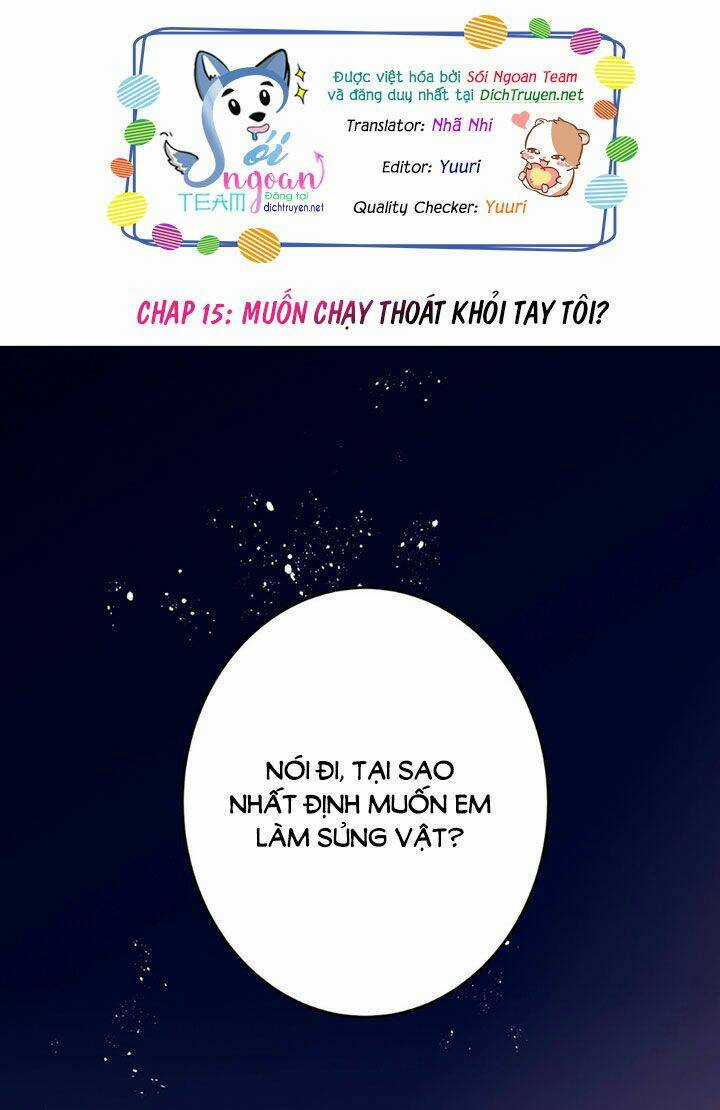 Em Là Bạc Hà Mèo Của Tôi Chapter 15 trang 0