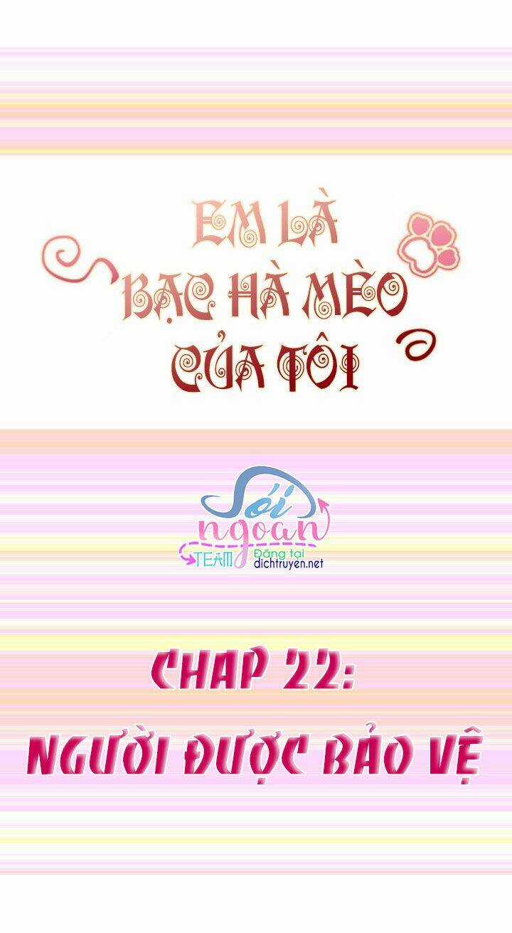 Em Là Bạc Hà Mèo Của Tôi Chapter 22 trang 0