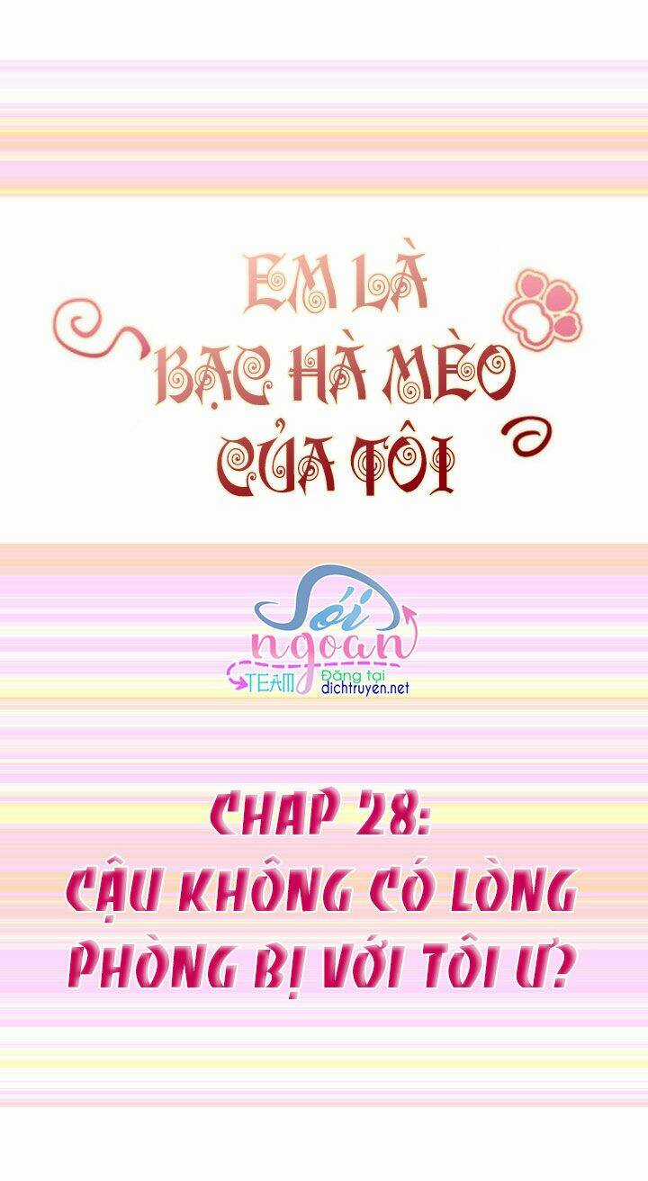 Em Là Bạc Hà Mèo Của Tôi Chapter 28 trang 0