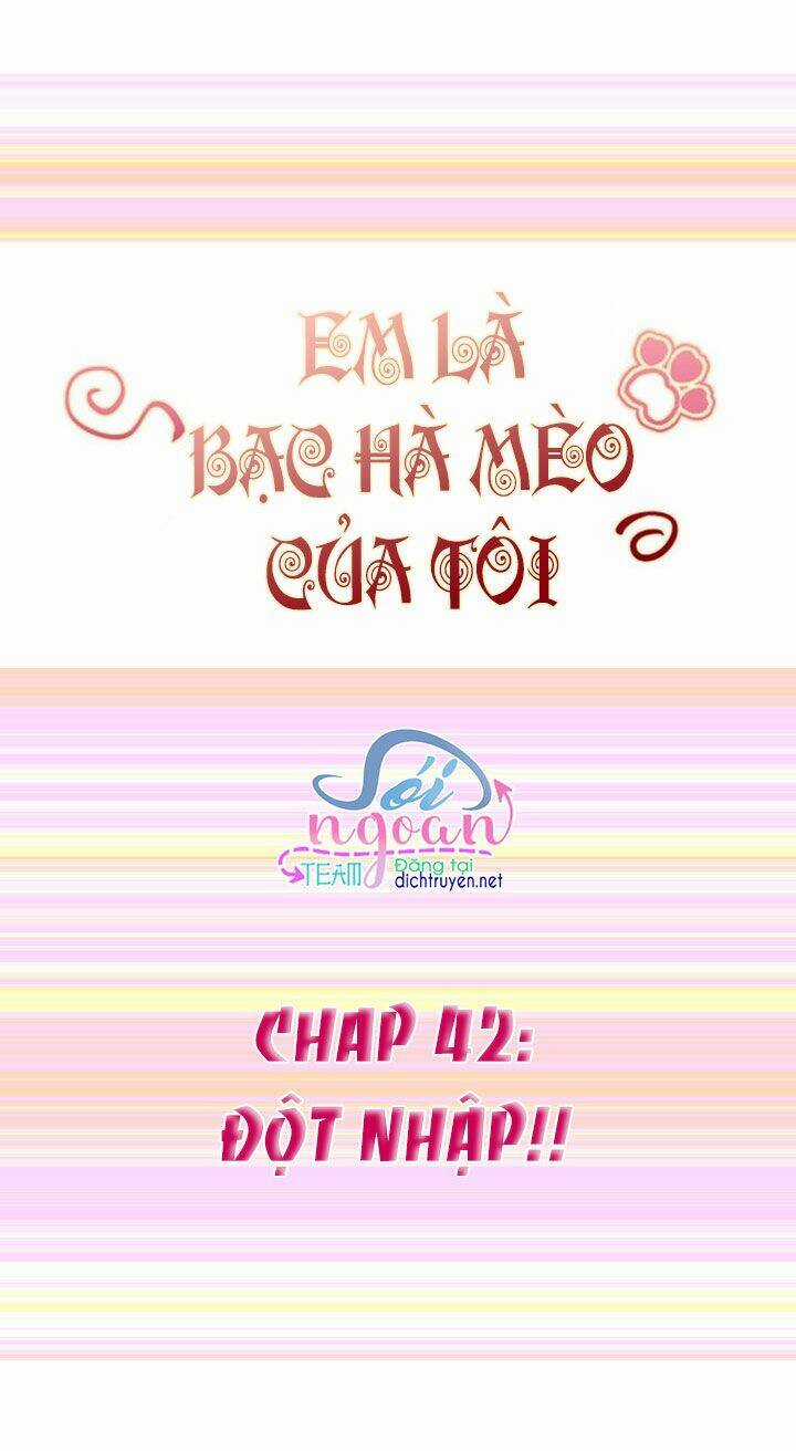 Em Là Bạc Hà Mèo Của Tôi Chapter 42 trang 0