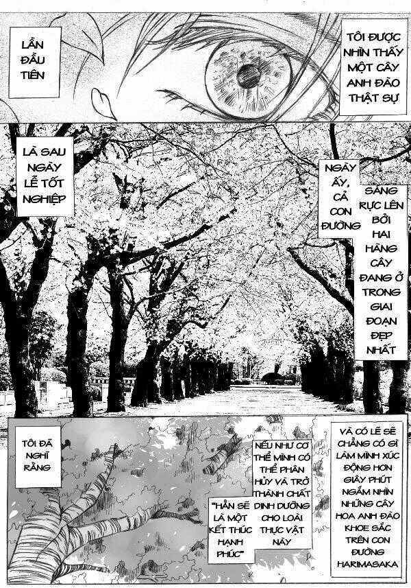 Fate Chapter 1 trang 1