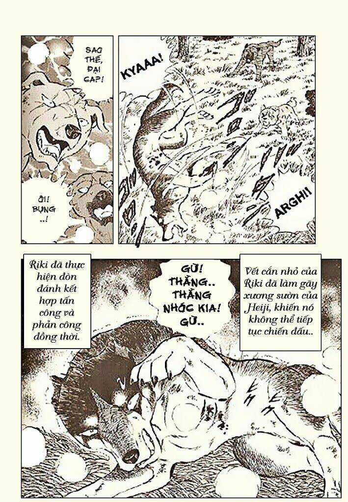 Ginga Densetsu Riki Chapter 5 trang 1