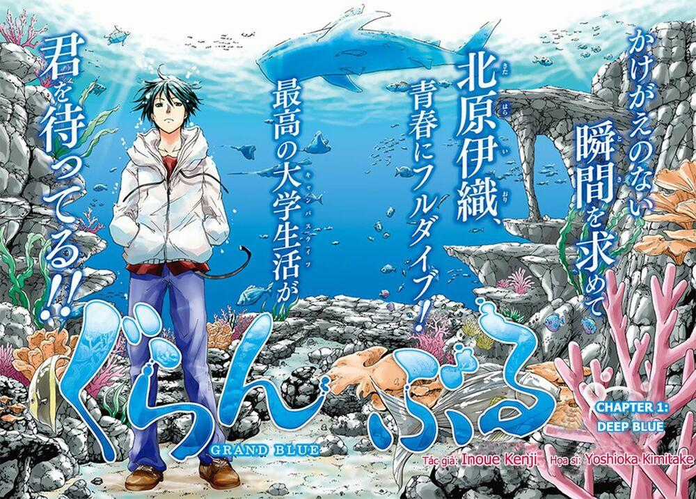 Grand Blue - Cô Gái Thích Lặn Chapter 1 trang 1