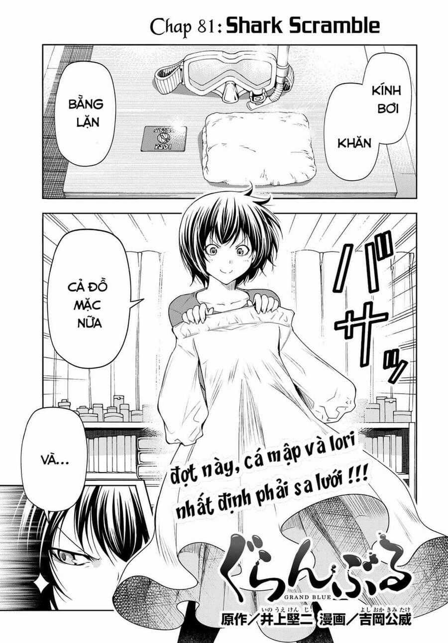 Grand Blue - Cô Gái Thích Lặn Chapter 81 trang 0