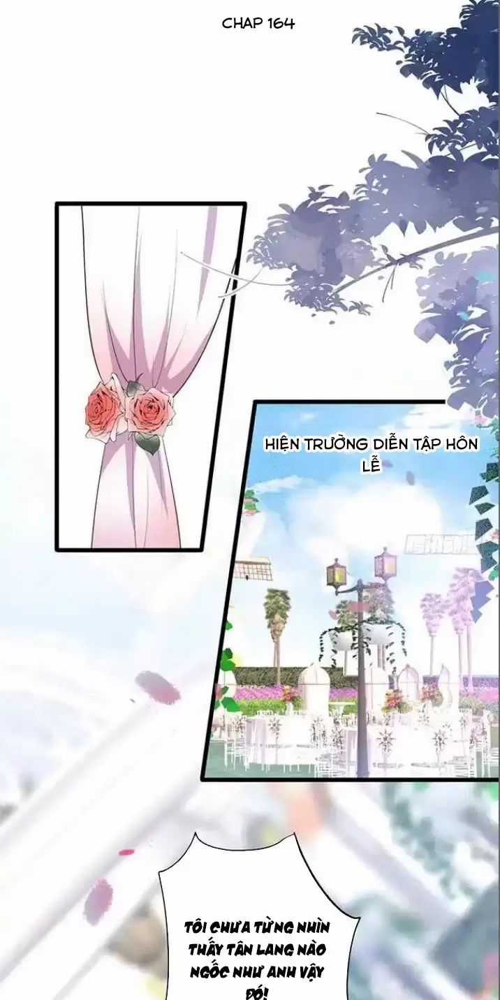 Hắc Đạo Đáng Yêu Chapter 164 trang 1