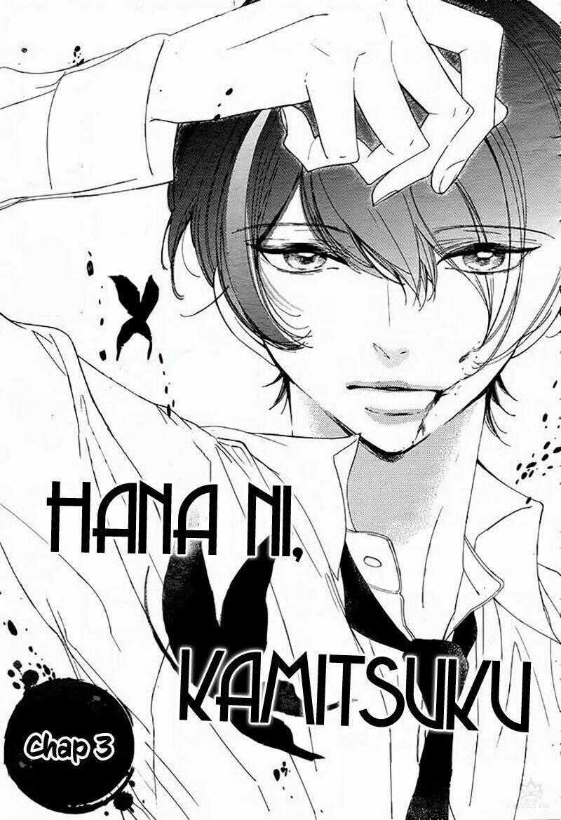 Hana Ni, Kamitsuku Chapter 3 trang 0