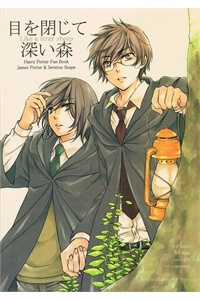 Đọc truyện tranh Harry Potter Doujinshi - The World 2