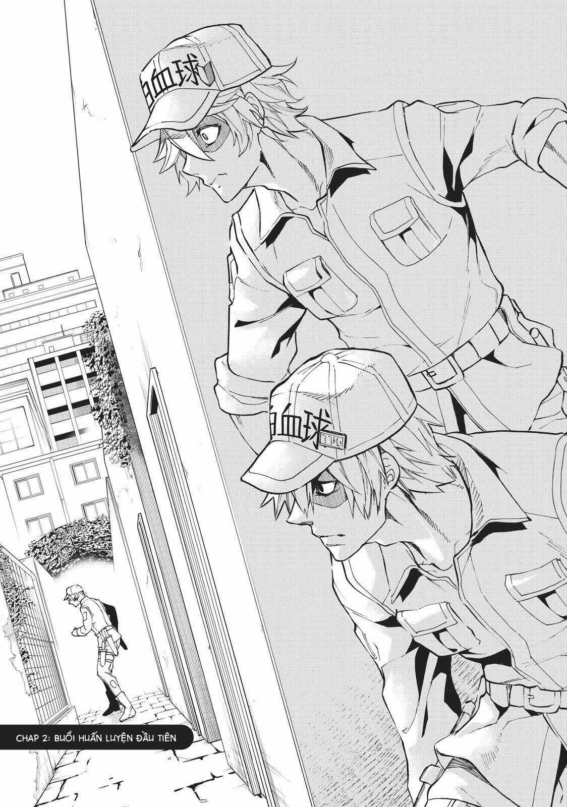 Hataraku Saibou: White Chapter 2 trang 0