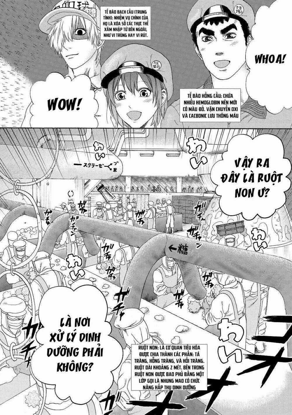 Hataraku Saibou! Chapter 19 trang 1