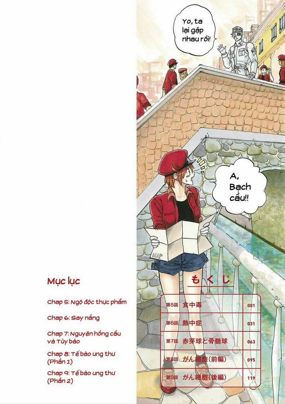 Hataraku Saibou! Chapter 5 trang 1