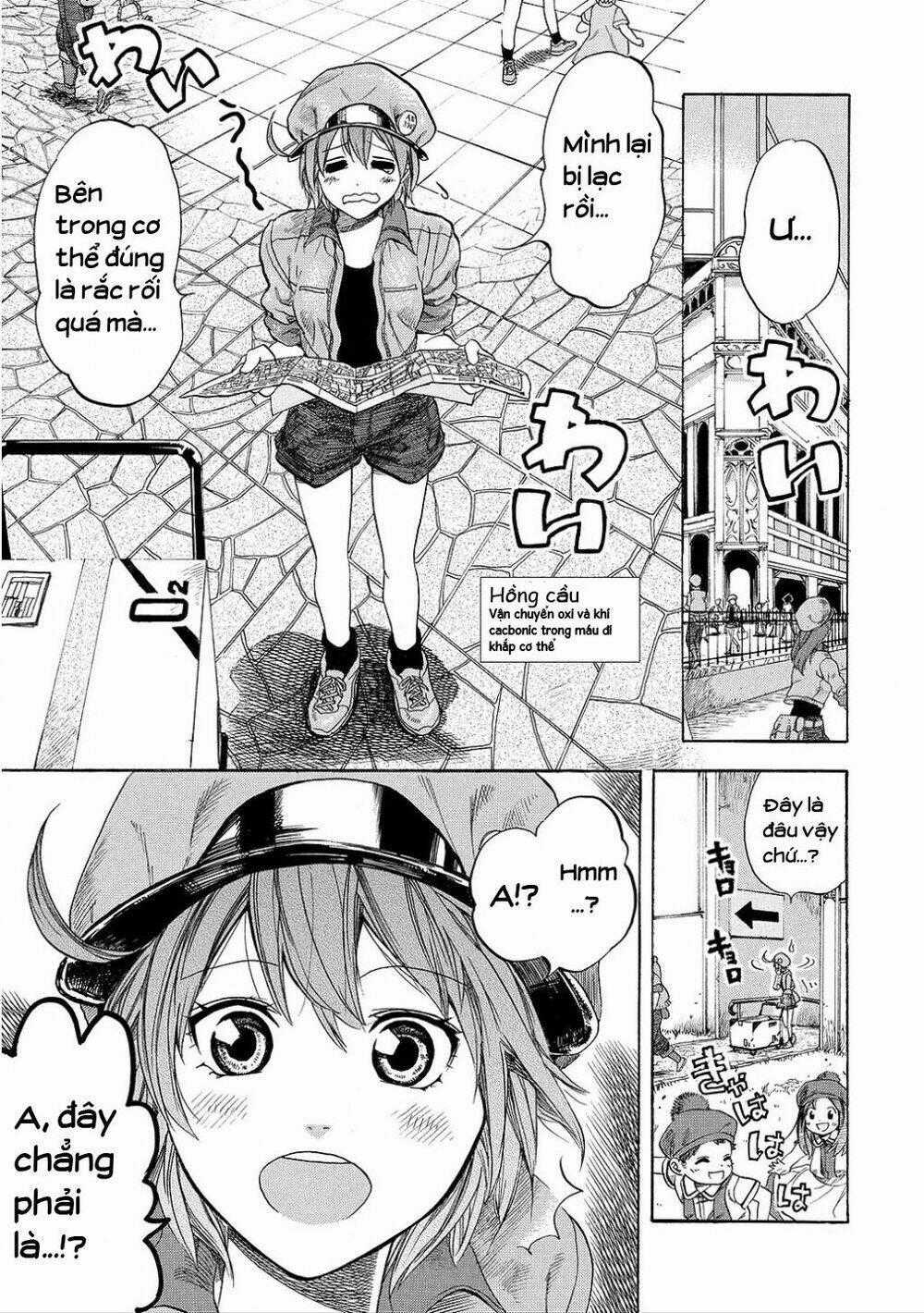 Hataraku Saibou! Chapter 7 trang 0