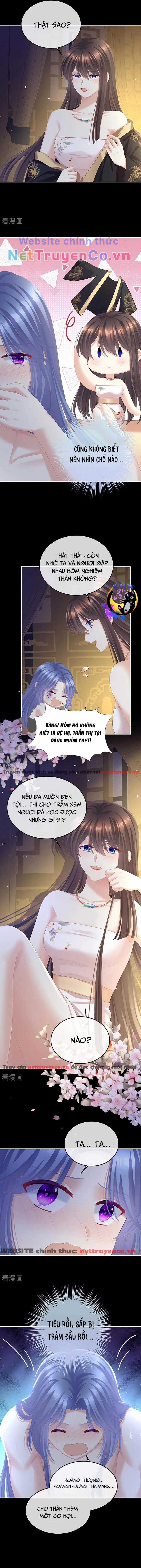 Hậu Cung Của Nữ Đế - Mùa 2 Chapter 16 trang 1