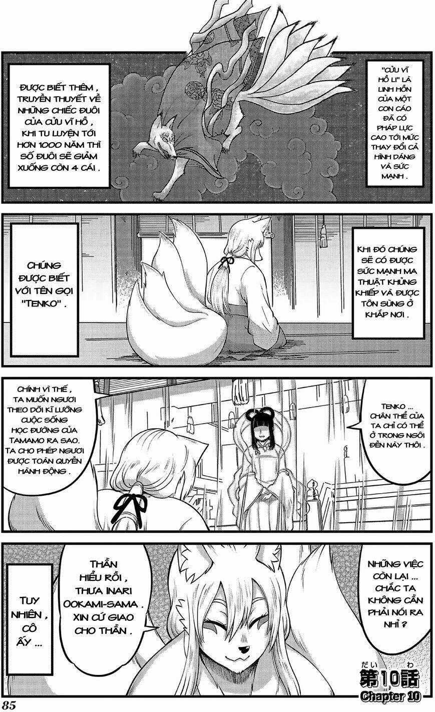 High School Inari Tamamo-Chan Chapter 10 trang 1