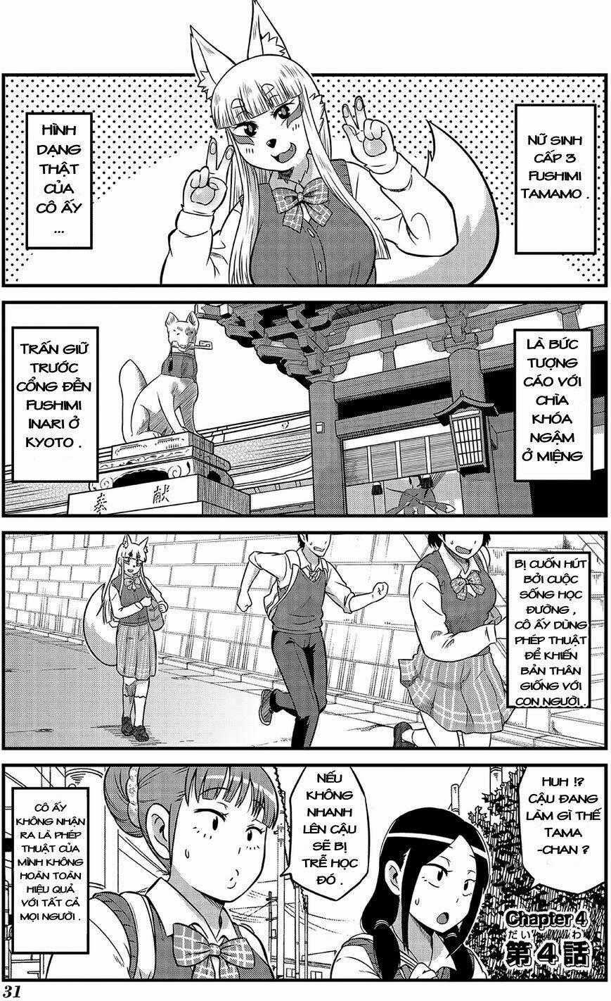 High School Inari Tamamo-Chan Chapter 4 trang 1