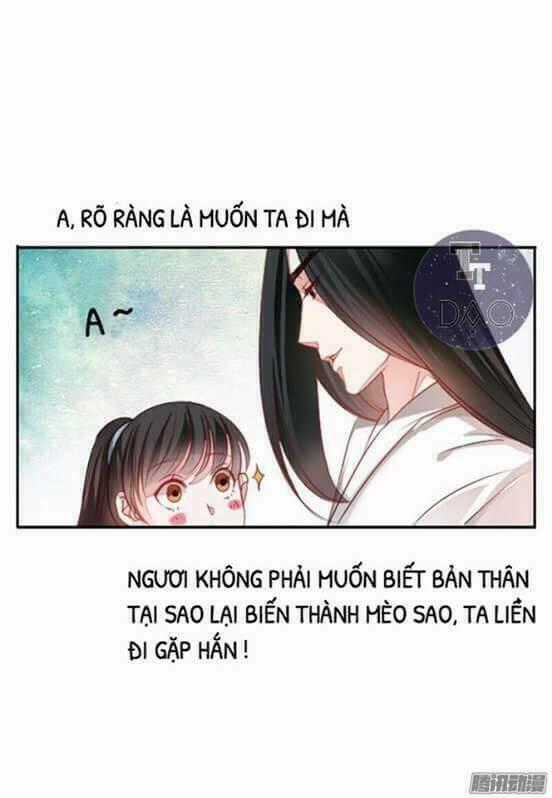 Hoàng thái tử, xin nhận nuôi em! Chapter 11 trang 1