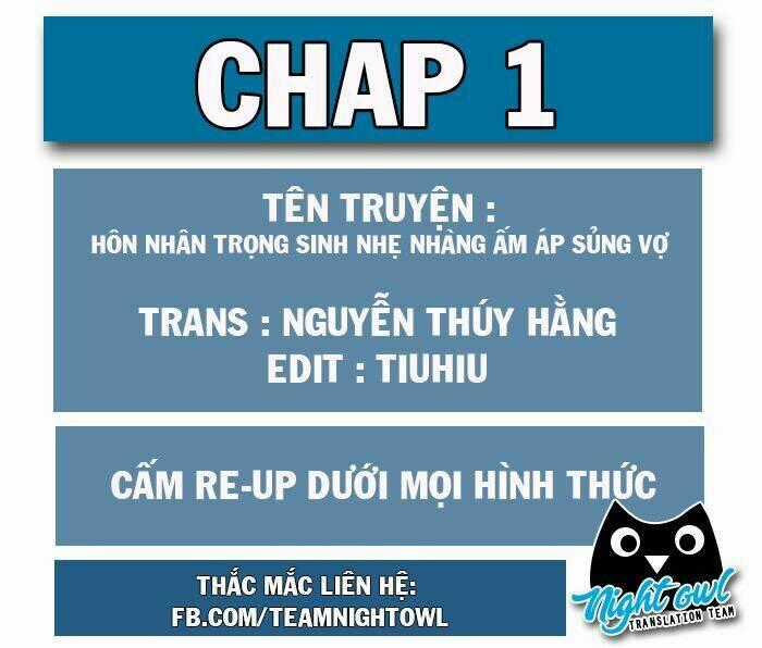 Hôn Nhân Trọng Sinh Nhẹ Nhàng Ấm Áp Sủng Vợ Chapter 1 trang 0