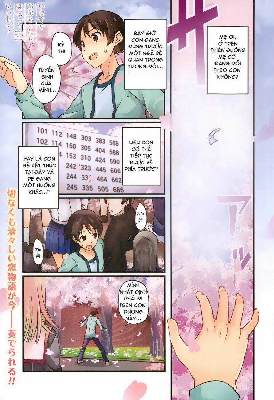 Imasugu Oniichan Ni Imouto Datte Iitai Chapter 1 trang 0