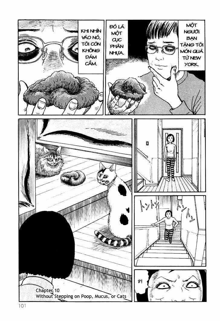 Ito Junji Cat's Diary Chapter 10 trang 0