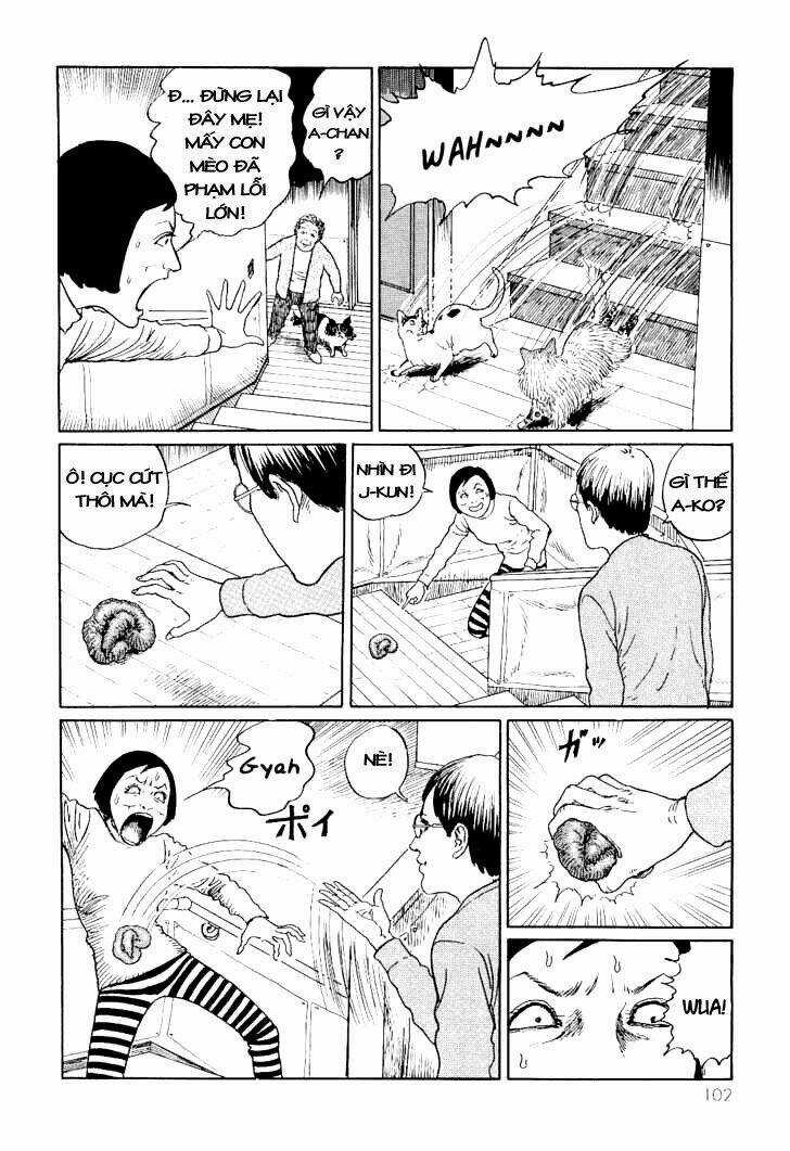 Ito Junji Cat's Diary Chapter 10 trang 1