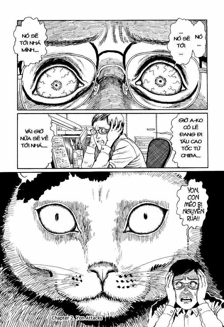 Ito Junji Cat's Diary Chapter 2 trang 0