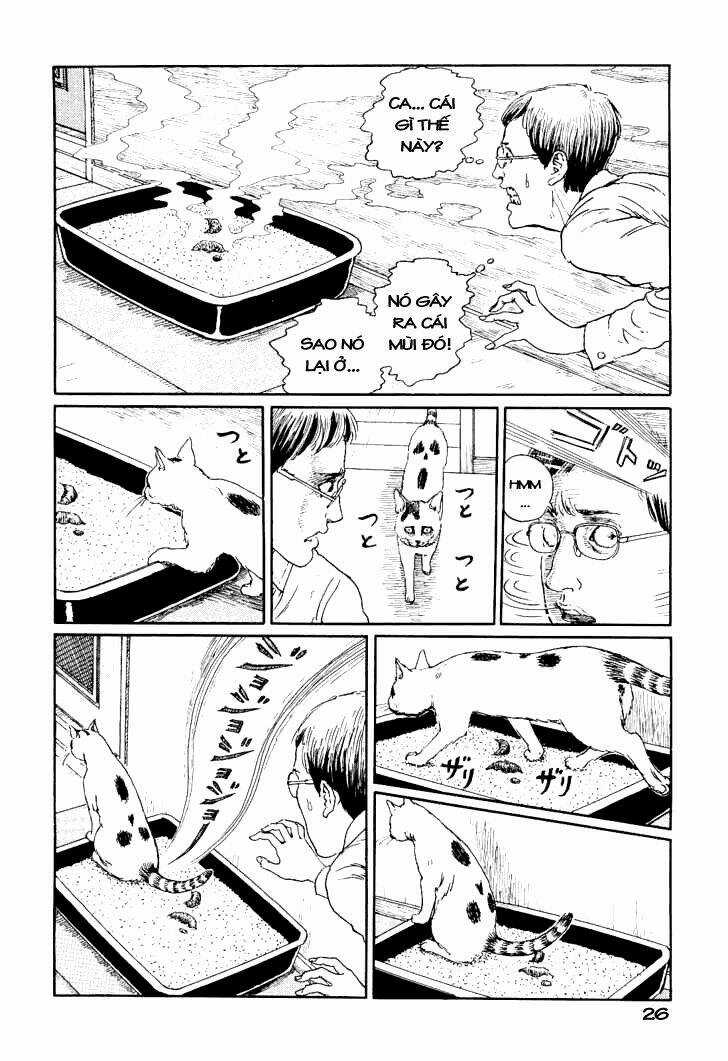 Ito Junji Cat's Diary Chapter 3 trang 1