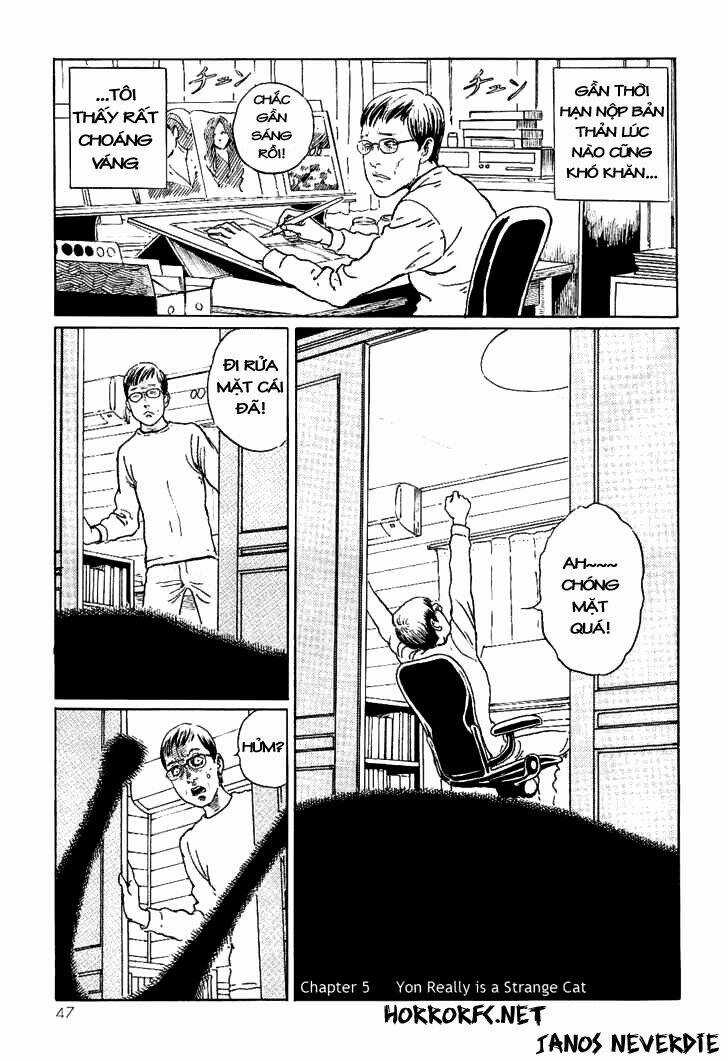 Ito Junji Cat's Diary Chapter 5 trang 0