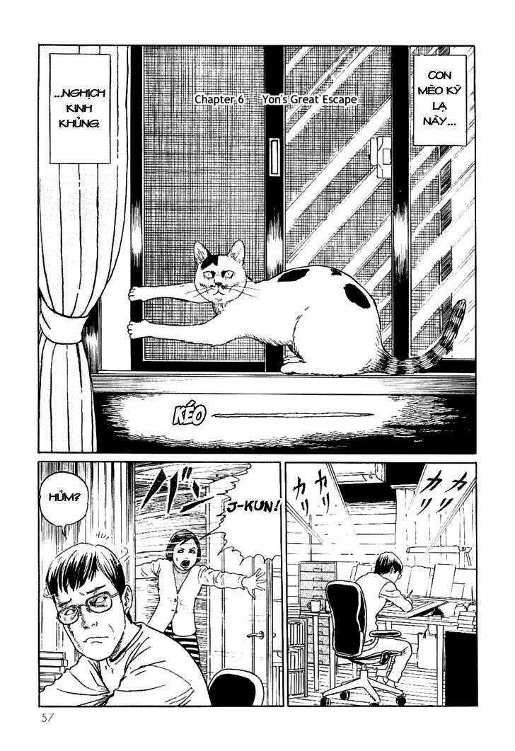 Ito Junji Cat's Diary Chapter 6 trang 0