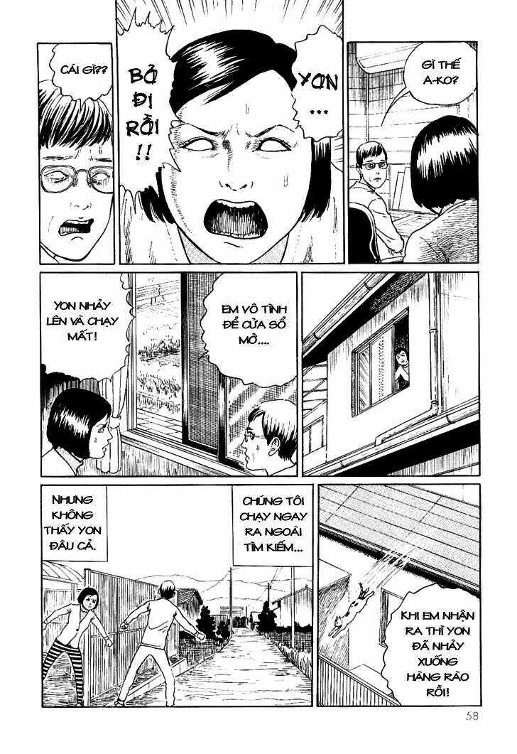 Ito Junji Cat's Diary Chapter 6 trang 1