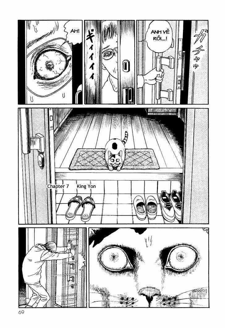 Ito Junji Cat's Diary Chapter 7 trang 0