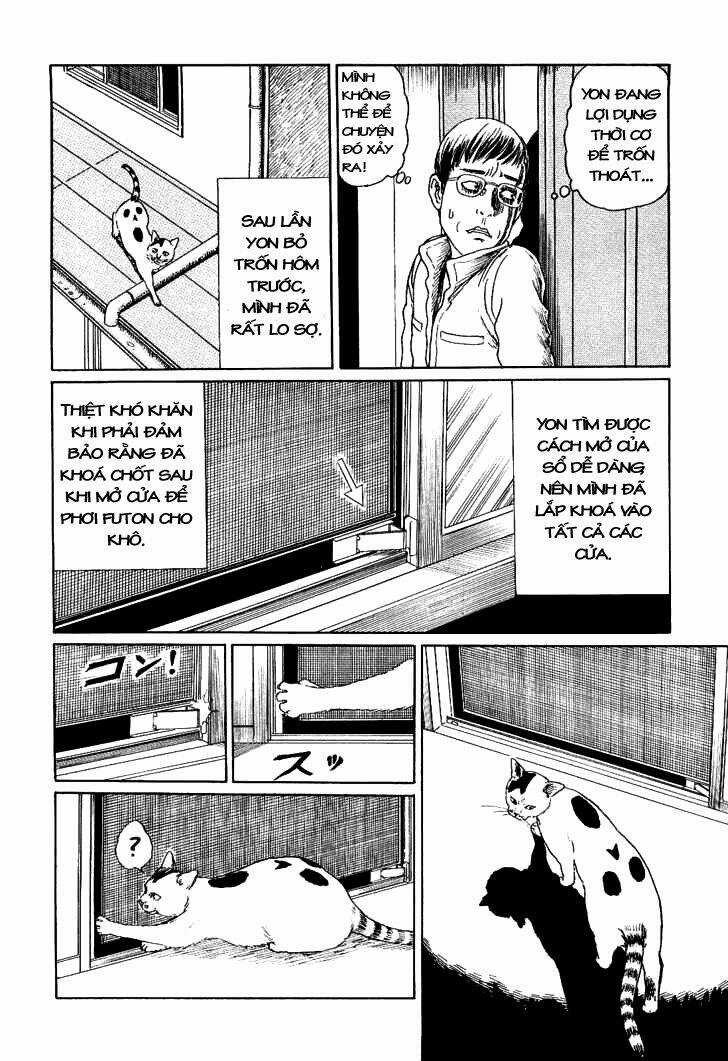 Ito Junji Cat's Diary Chapter 7 trang 1