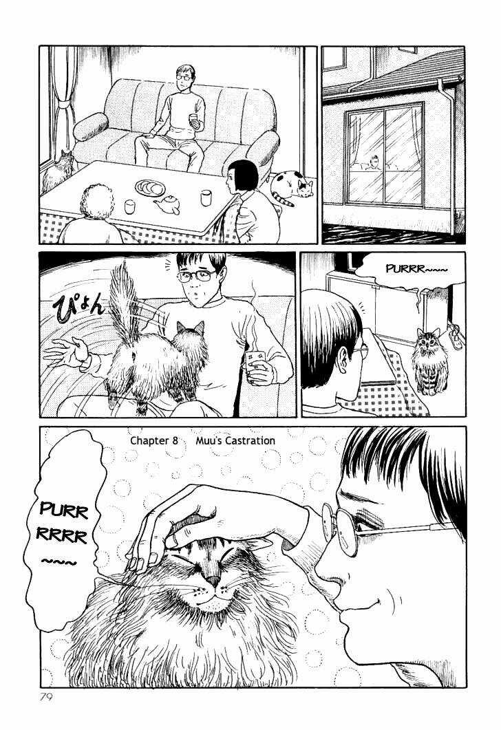 Ito Junji Cat's Diary Chapter 8 trang 0