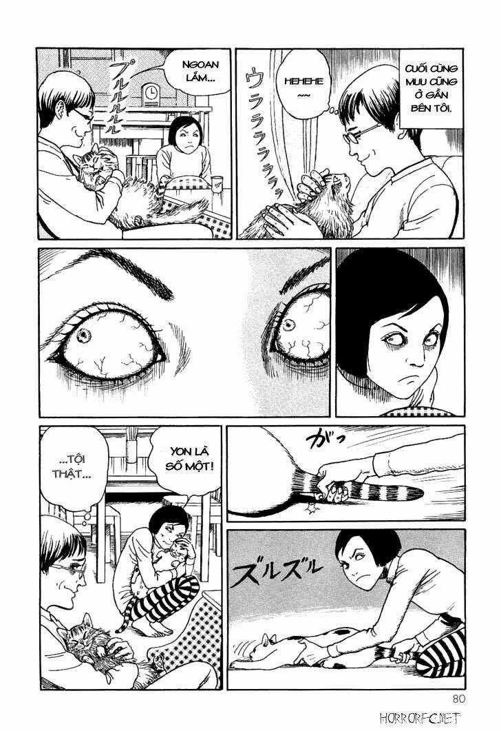 Ito Junji Cat's Diary Chapter 8 trang 1