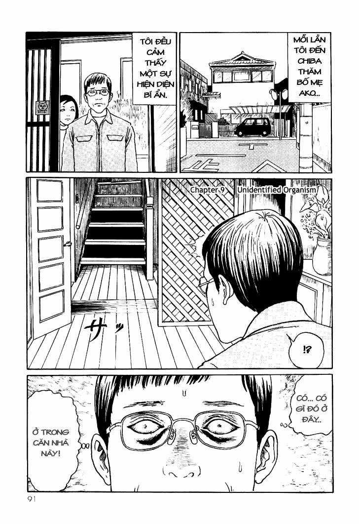 Ito Junji Cat's Diary Chapter 9 trang 0