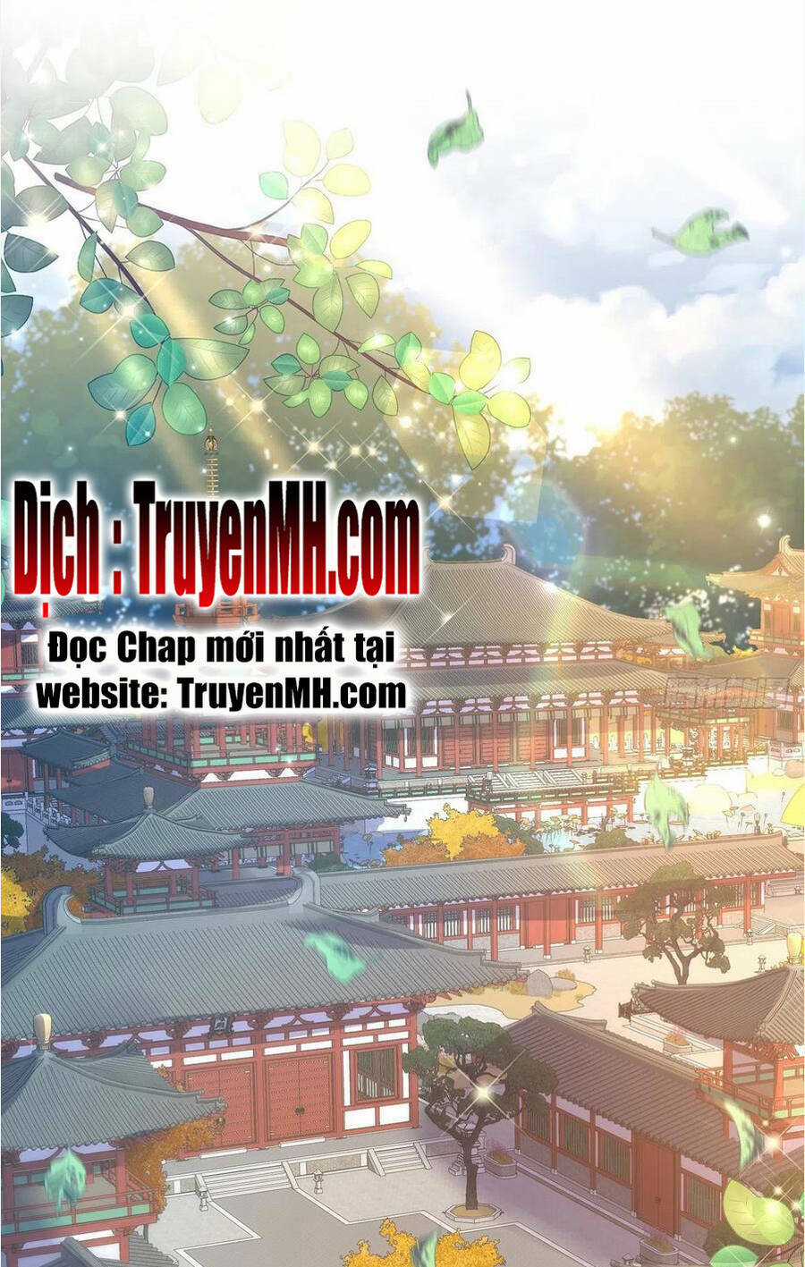 Kiều Mỵ Phu Lang, Tại Tuyến Lục Trà Chapter 105 trang 1