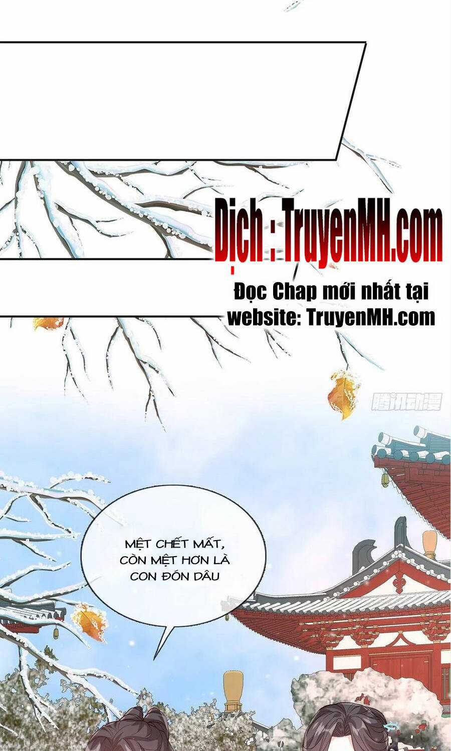 Kiều Mỵ Phu Lang, Tại Tuyến Lục Trà Chapter 119 trang 1