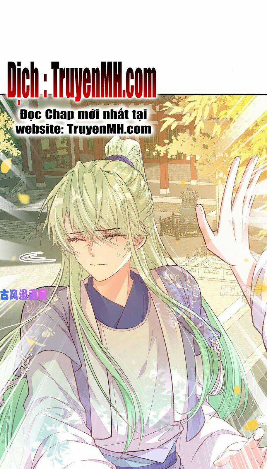 Kiều Mỵ Phu Lang, Tại Tuyến Lục Trà Chapter 56 trang 1