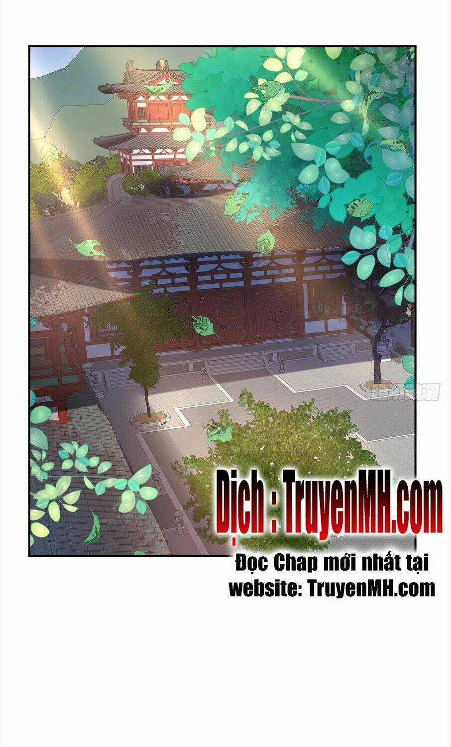 Kiều Mỵ Phu Lang, Tại Tuyến Lục Trà Chapter 69 trang 1