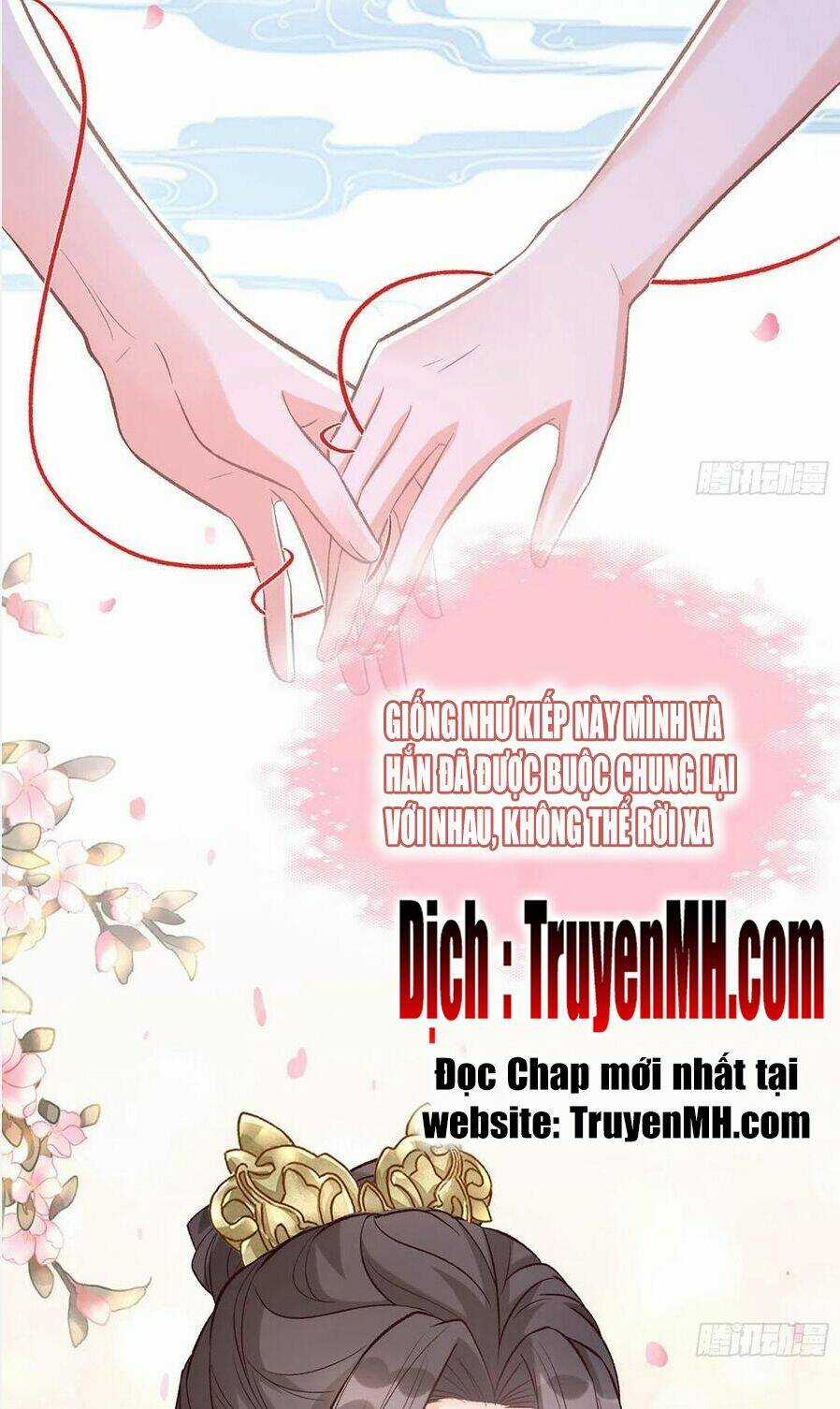 Kiều Mỵ Phu Lang, Tại Tuyến Lục Trà Chapter 71 trang 1