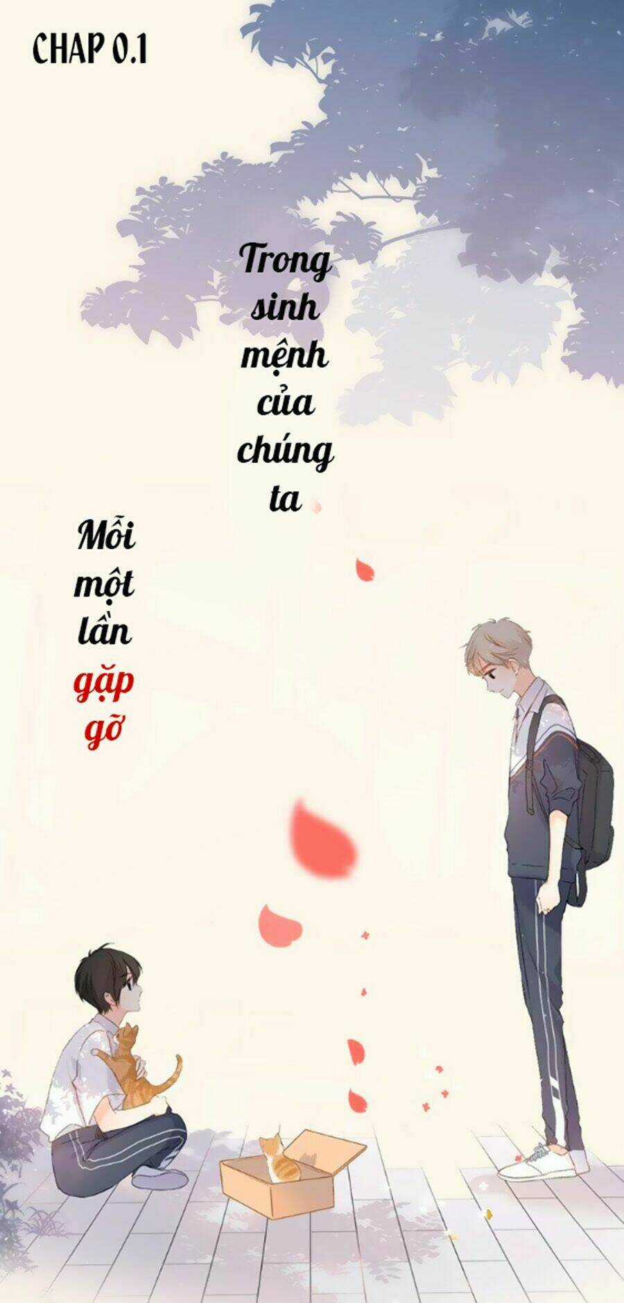 Lại Gặp Được Em Chapter 0.2 trang 1