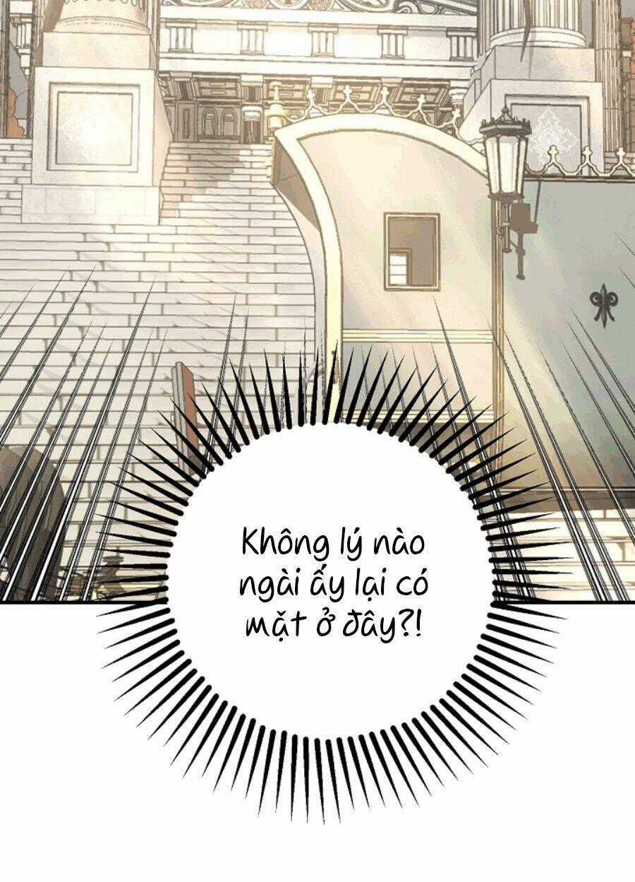 Lời Thú Nhận Nhầm Lẫn Chapter 51 trang 1