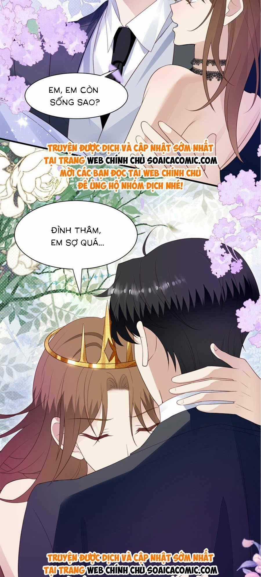 Lưng Dựa Núi Lớn Đứng Vững C Vị Chapter 202 trang 1