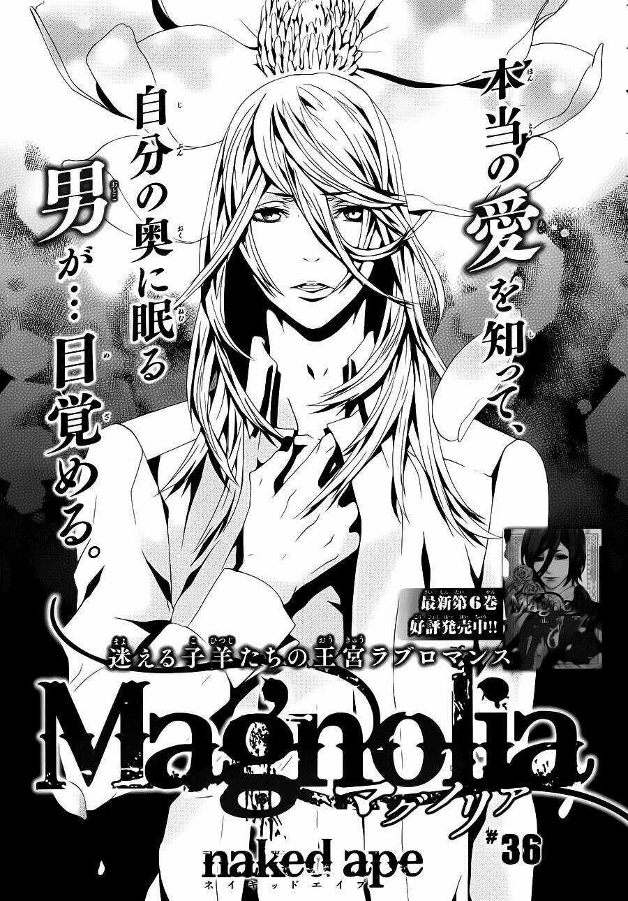 Magnolia Chapter 36 trang 1