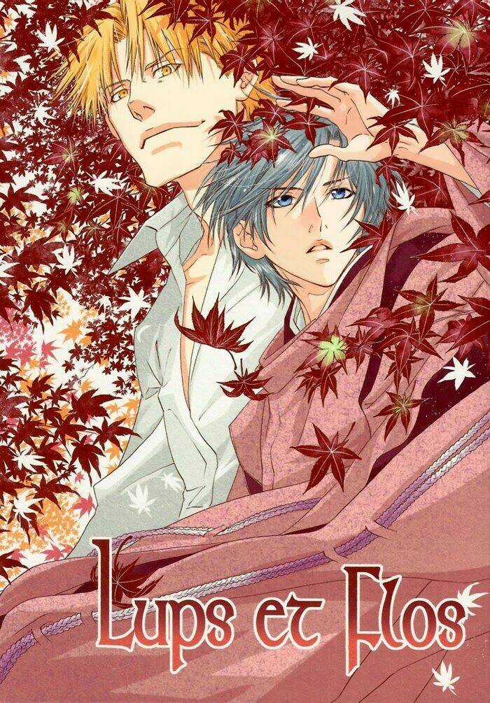 Maiden Rose-Special Chapter 19 trang 1