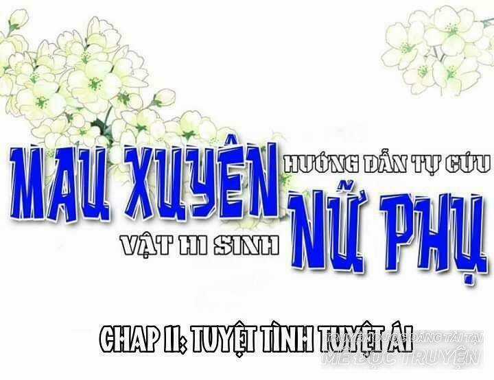 Mau Xuyên Hướng Dẫn Tự Cứu Vật Hi Sinh Nữ Phụ Chapter 11 trang 0