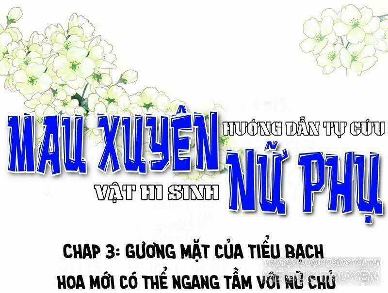 Mau Xuyên Hướng Dẫn Tự Cứu Vật Hi Sinh Nữ Phụ Chapter 3 trang 0