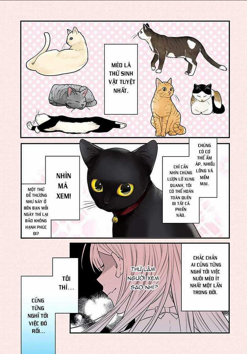 Mi-chan wa kawaretai Chapter 1 trang 1