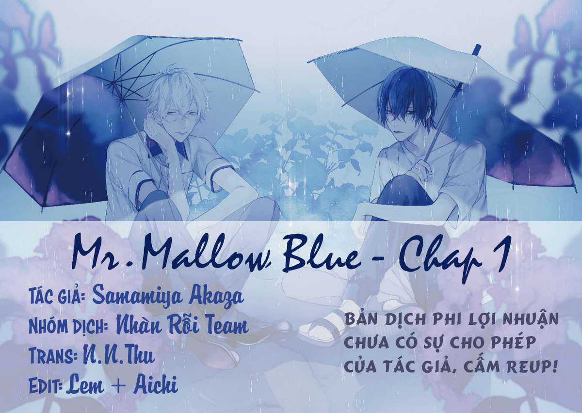 Mr. Mallow Blue Chapter 1 trang 0