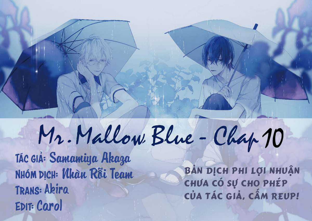 Mr. Mallow Blue Chapter 10 trang 0