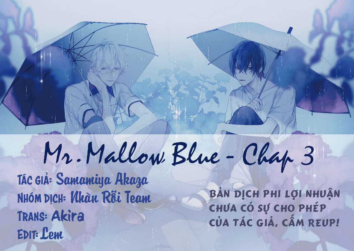 Mr. Mallow Blue Chapter 3 trang 0