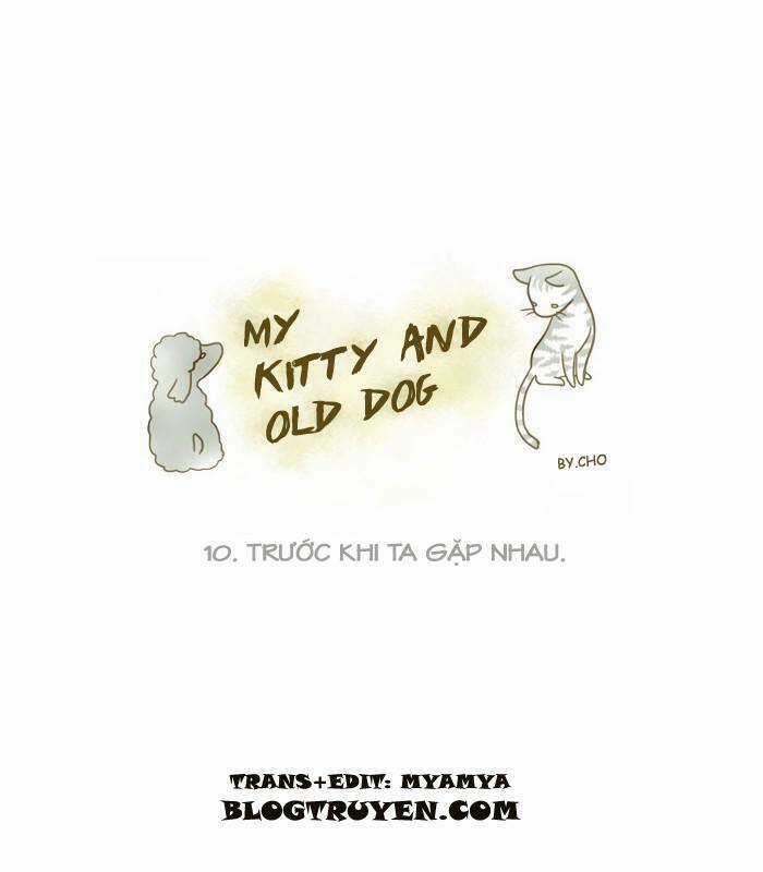 My Kitty And Old Dog Chapter 10 trang 1